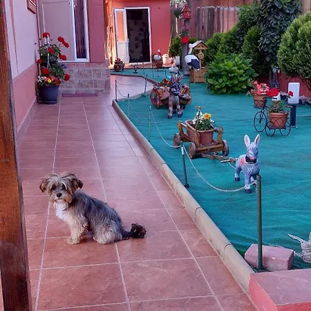 Alexandru Affittacamere Eforie Nord