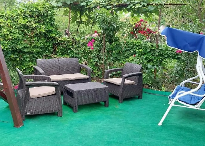 Guest house Alexandru