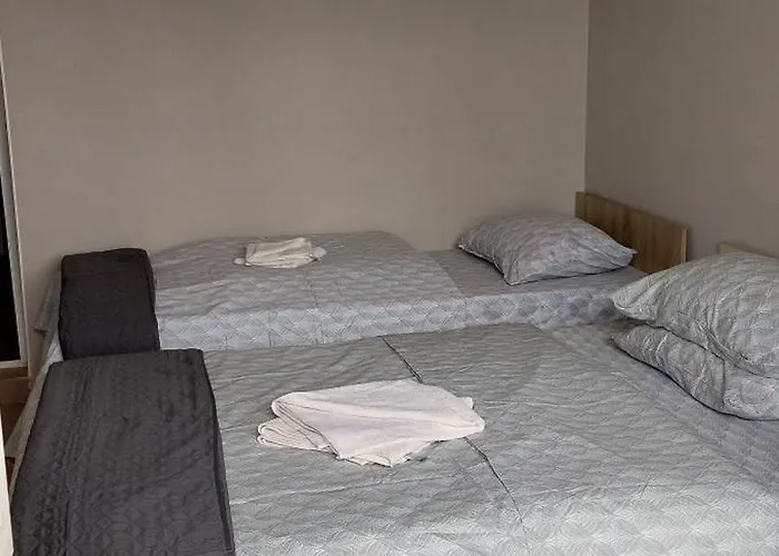 Guest house Alexandru