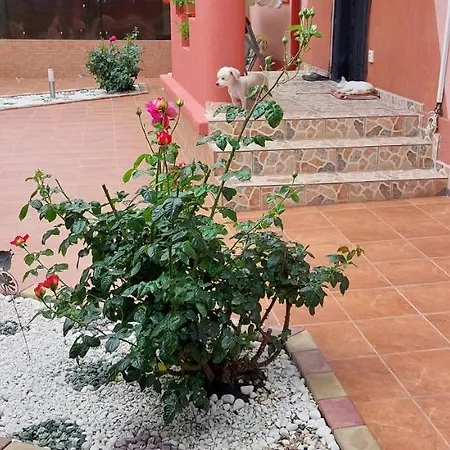 Alexandru 3*