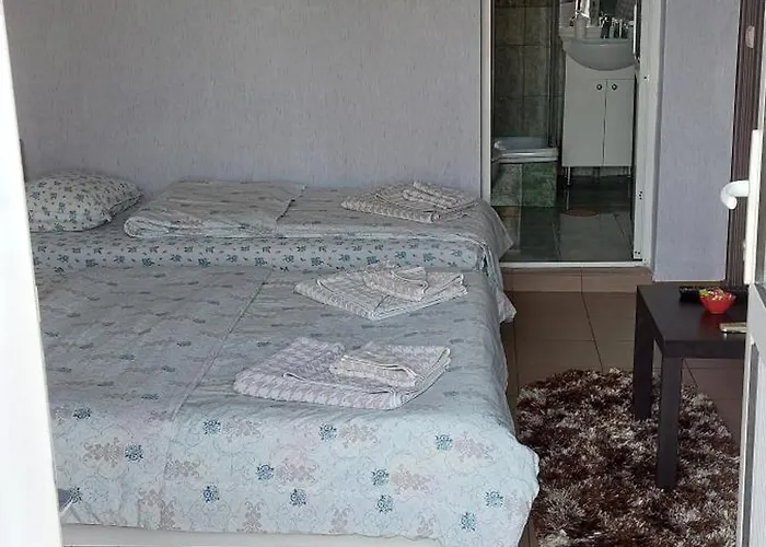 Alexandru Gasthuis 3*