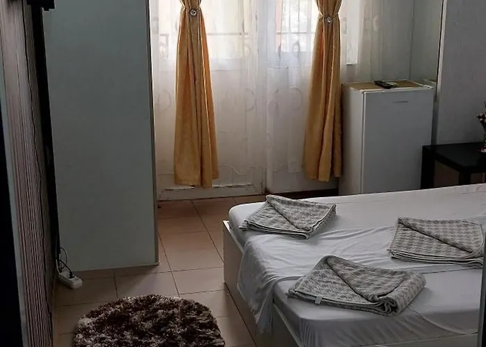 Πανσιόν Alexandru 3*