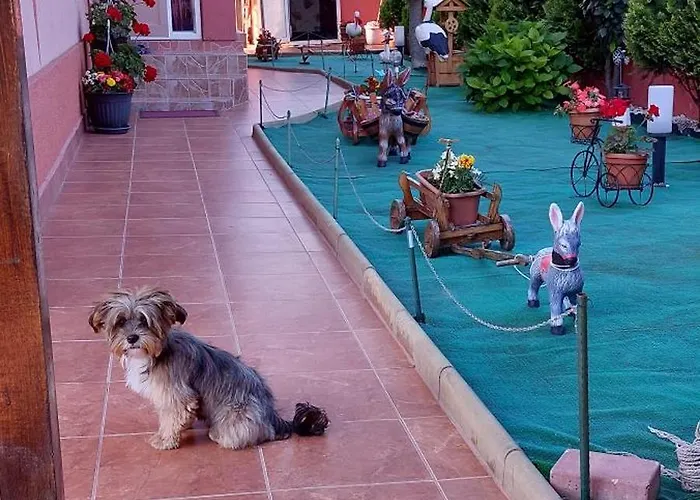 Alexandru Πανσιόν Eforie Nord